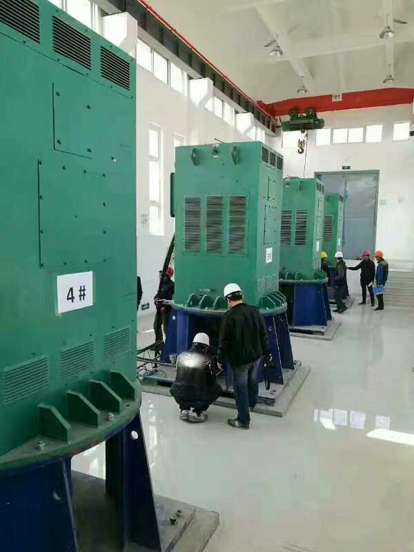 乌兰察布某污水处理厂使用我厂的立式高压电机安装现场